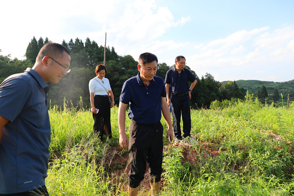 党委书记苏立赴我校乡村振兴驻村帮扶点考察调研